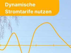 Dynamische Stromtarife nutzen